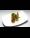 Recipe: Oat Breaded Eggplant with Corn and Bacon Stuffing