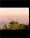 Los Angeles Small