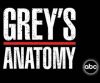 Image of Grey's Anatomy TV show
