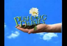 Image of Pushing Daisies TV show